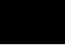 Tablet Screenshot of bullbearfs.com